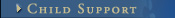 Child Support